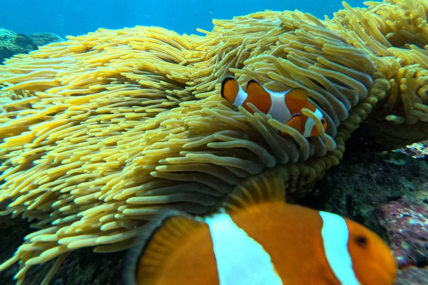 DCIM101GOPROGOPR5249.JPG