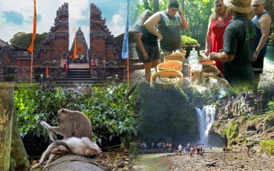 Best of Ubud Day Tour